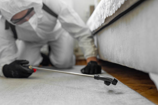 Professional Termite Control technician working in Delta, OH