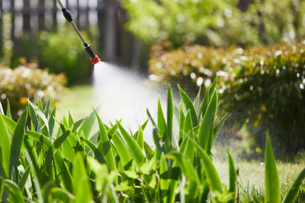 24/7 Emergency Termite Control experts in Delta, OH